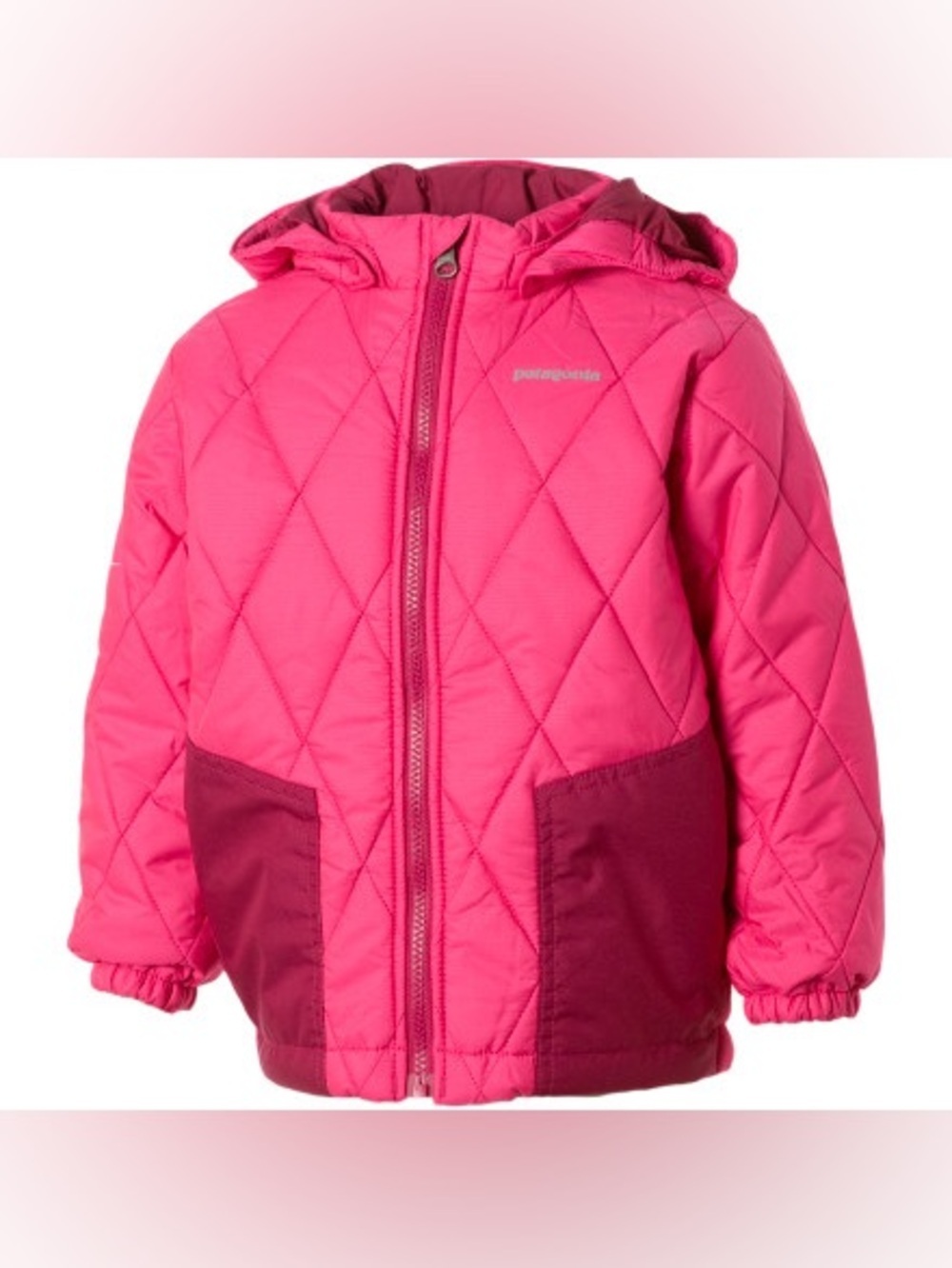 PATAGONIA Detachable Hooded Full Zipper Long Sleeve Puff Rider Jacket